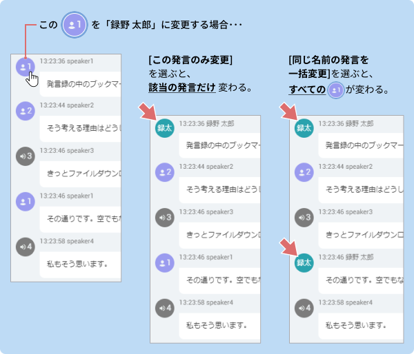 img_diarization_detail_usage.png